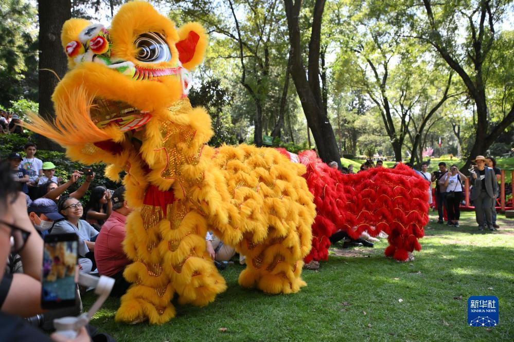 ag金龙珠视频